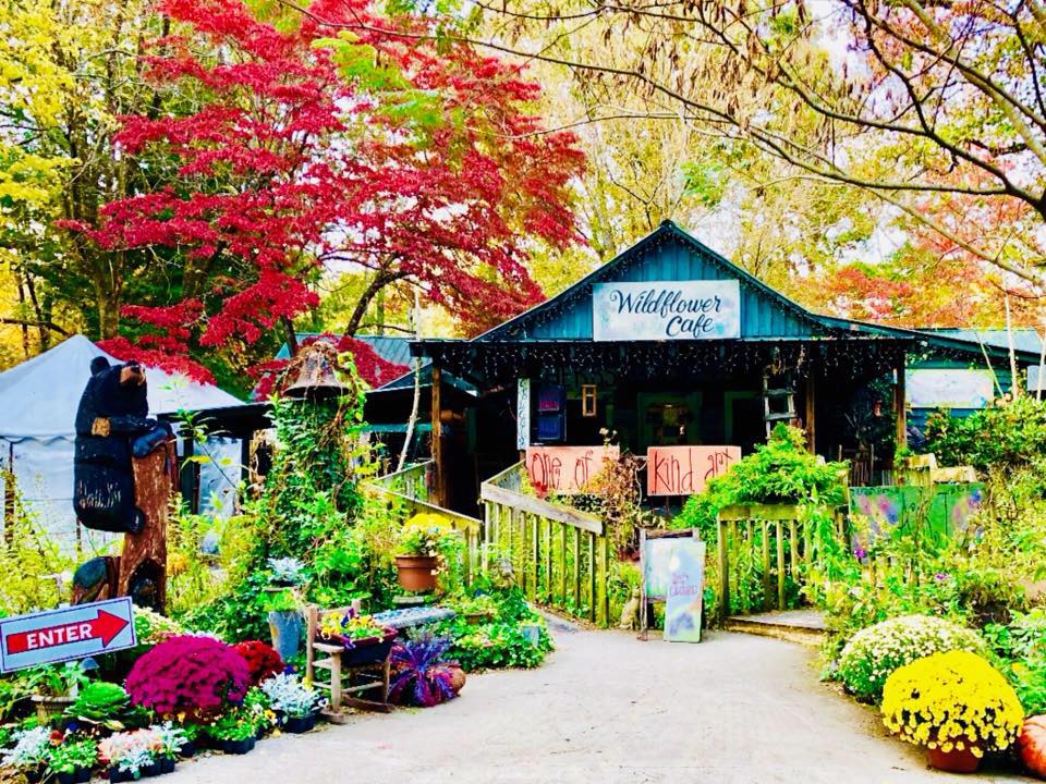 wildflower1 wildflower cafe