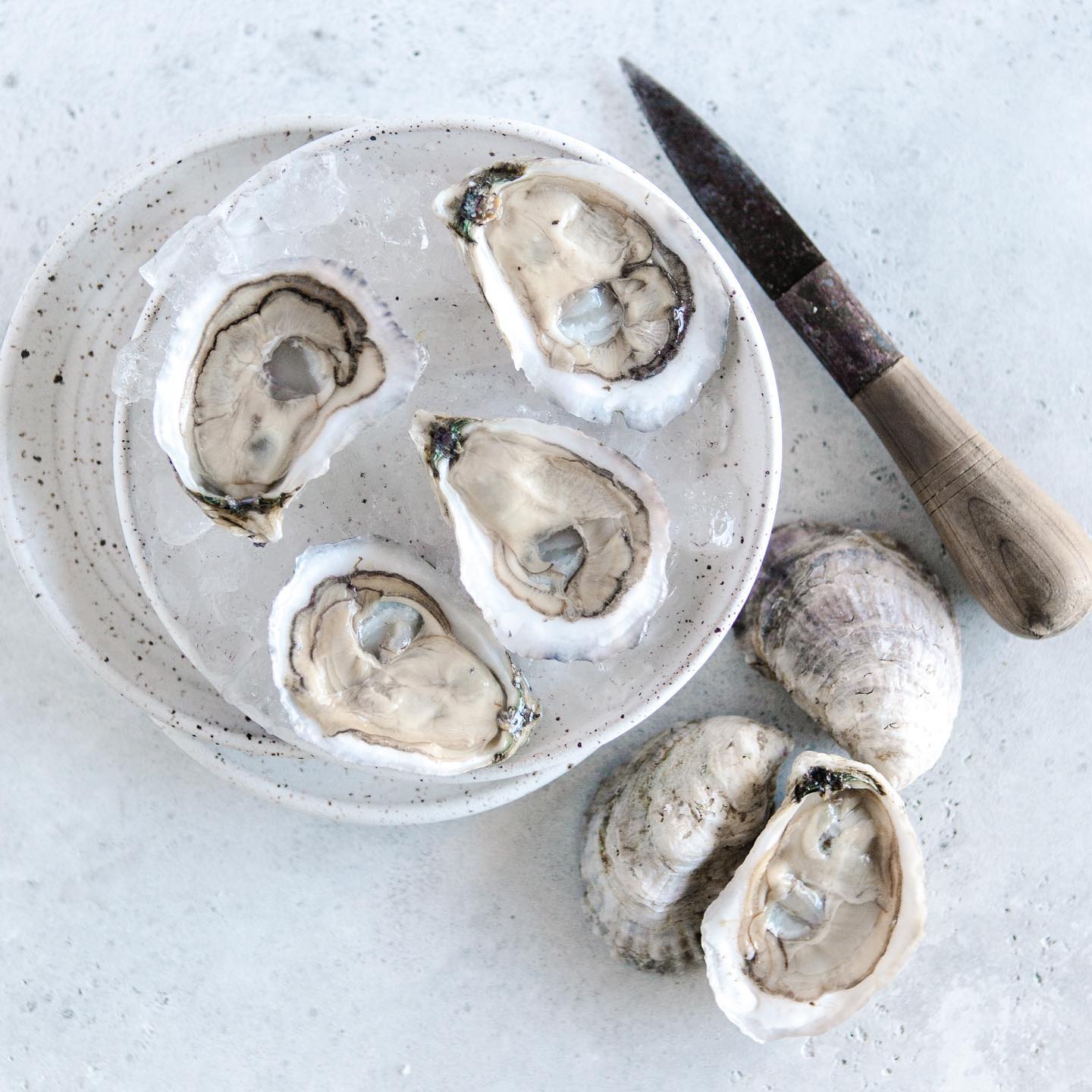 Murder-Point-Oysters-2