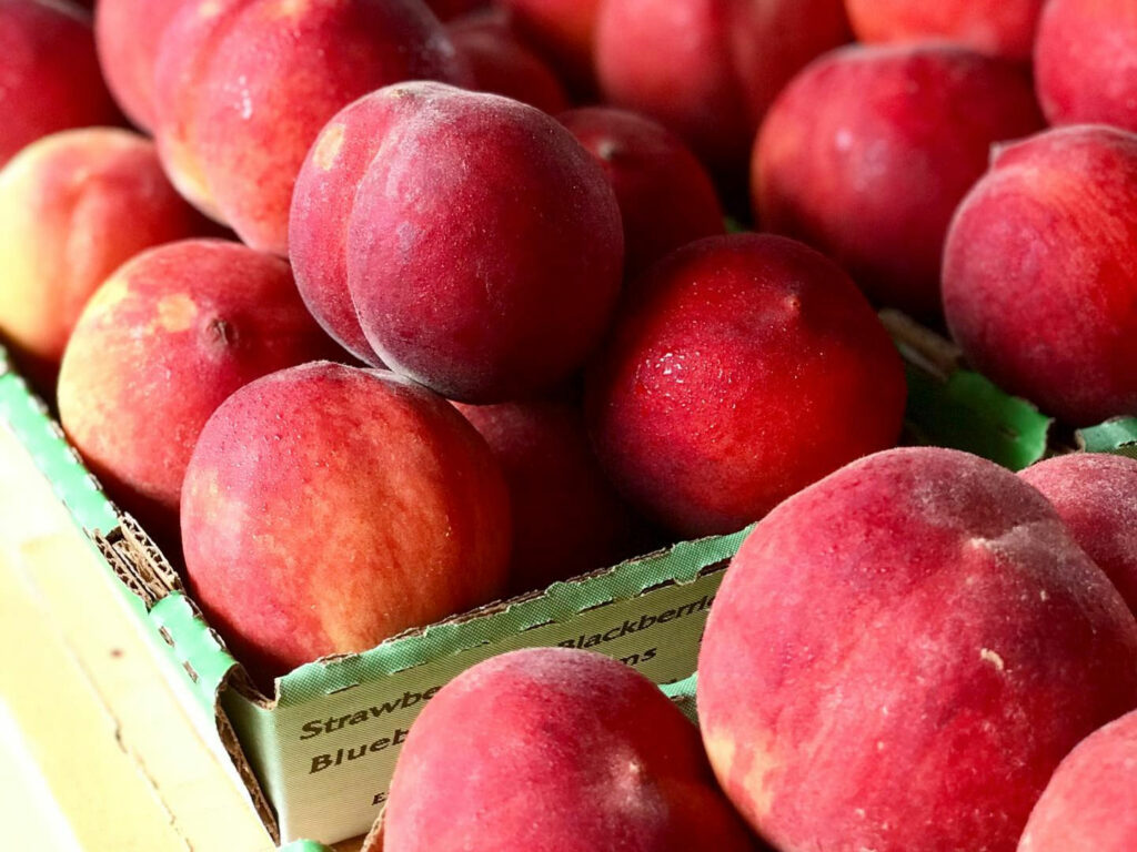 Why Chilton County Is Famous For Peaches And Where You Can Pick Your ...