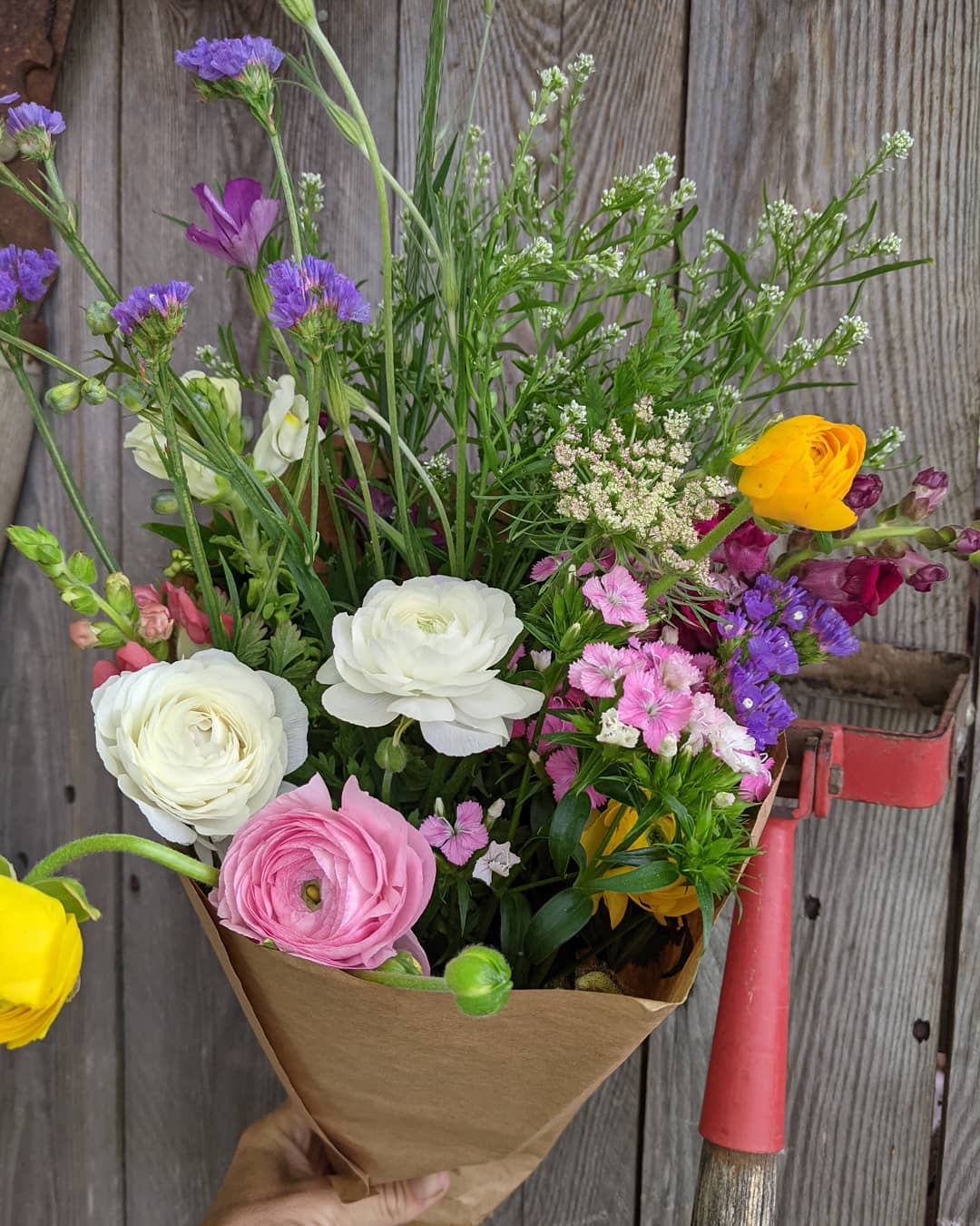 flower_hepzibah2