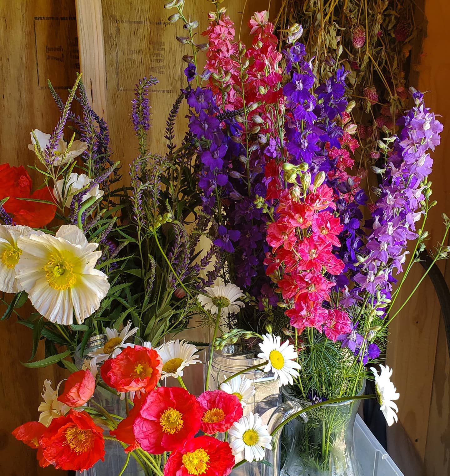 flowers_bluerooster