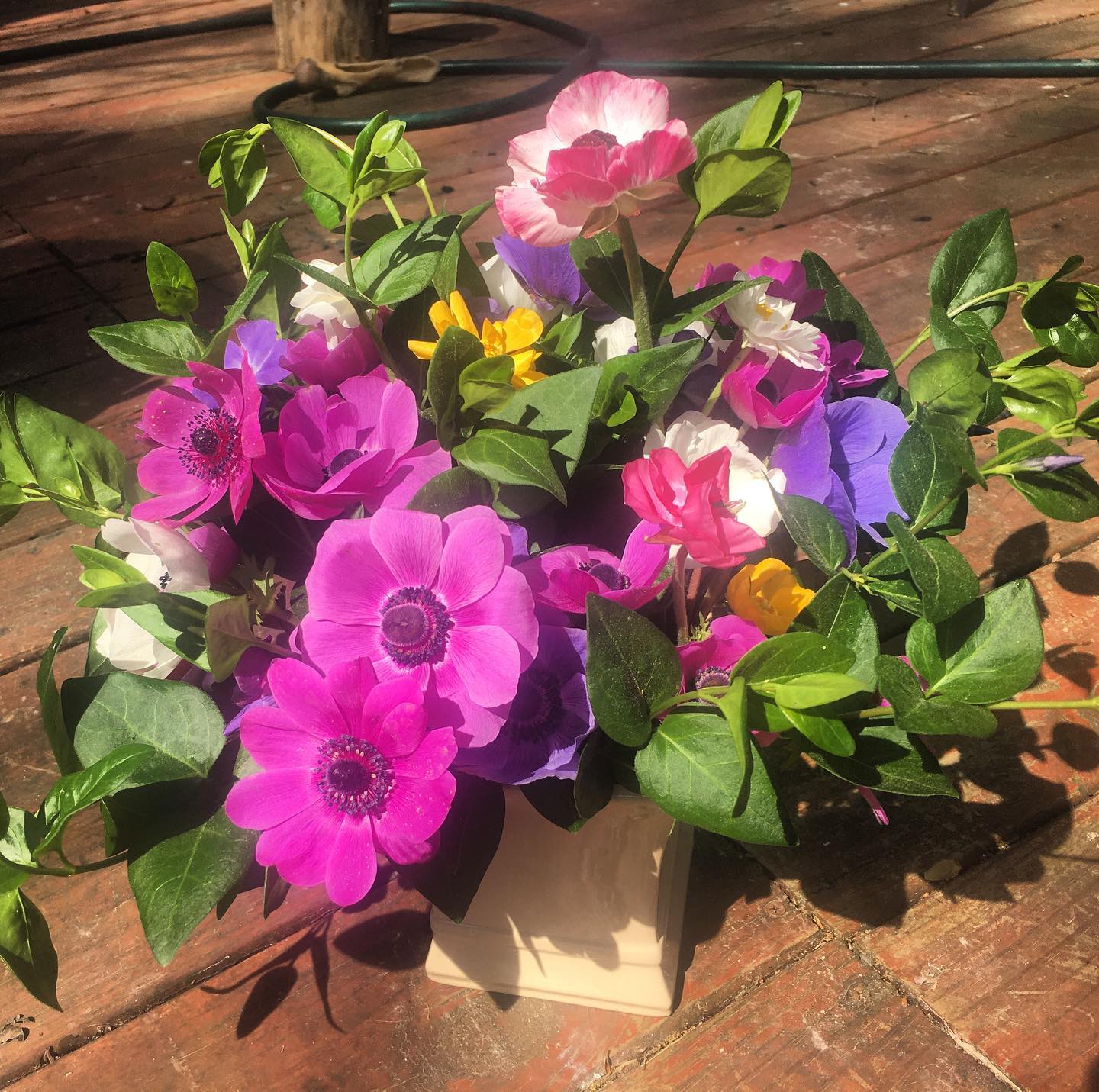 flowers_ingadi