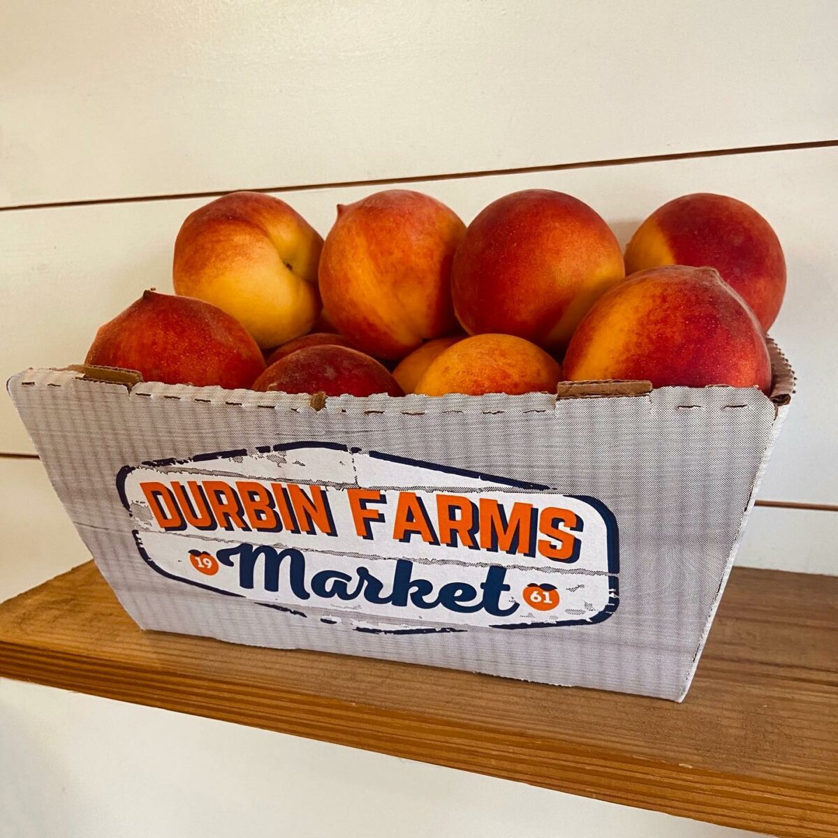 Why Chilton County is famous for peaches and where you can pick your