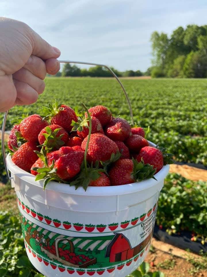 norris farms in hokes bluff alabama