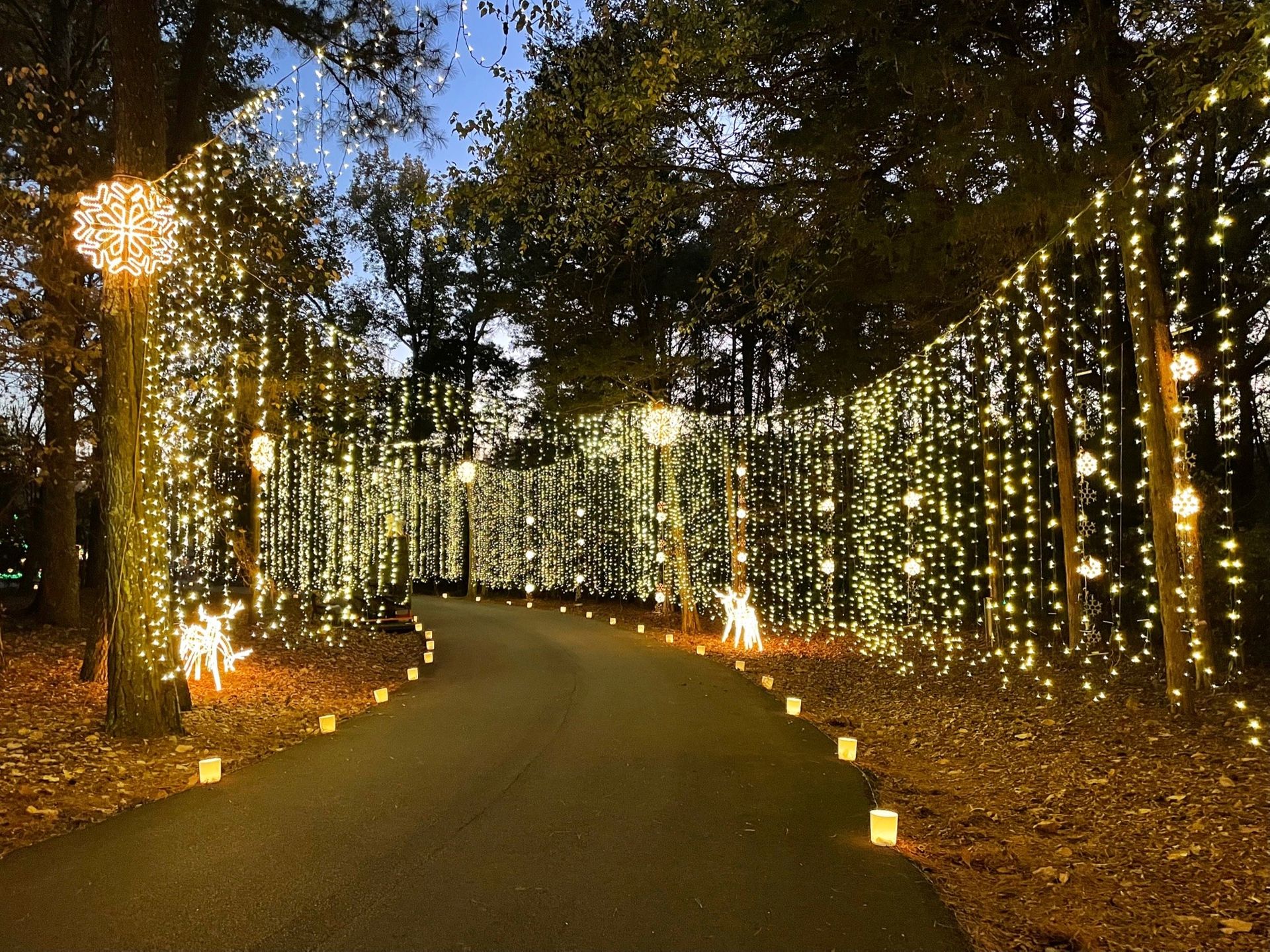 Where to see Alabama's best holiday light displays - SoulGrown