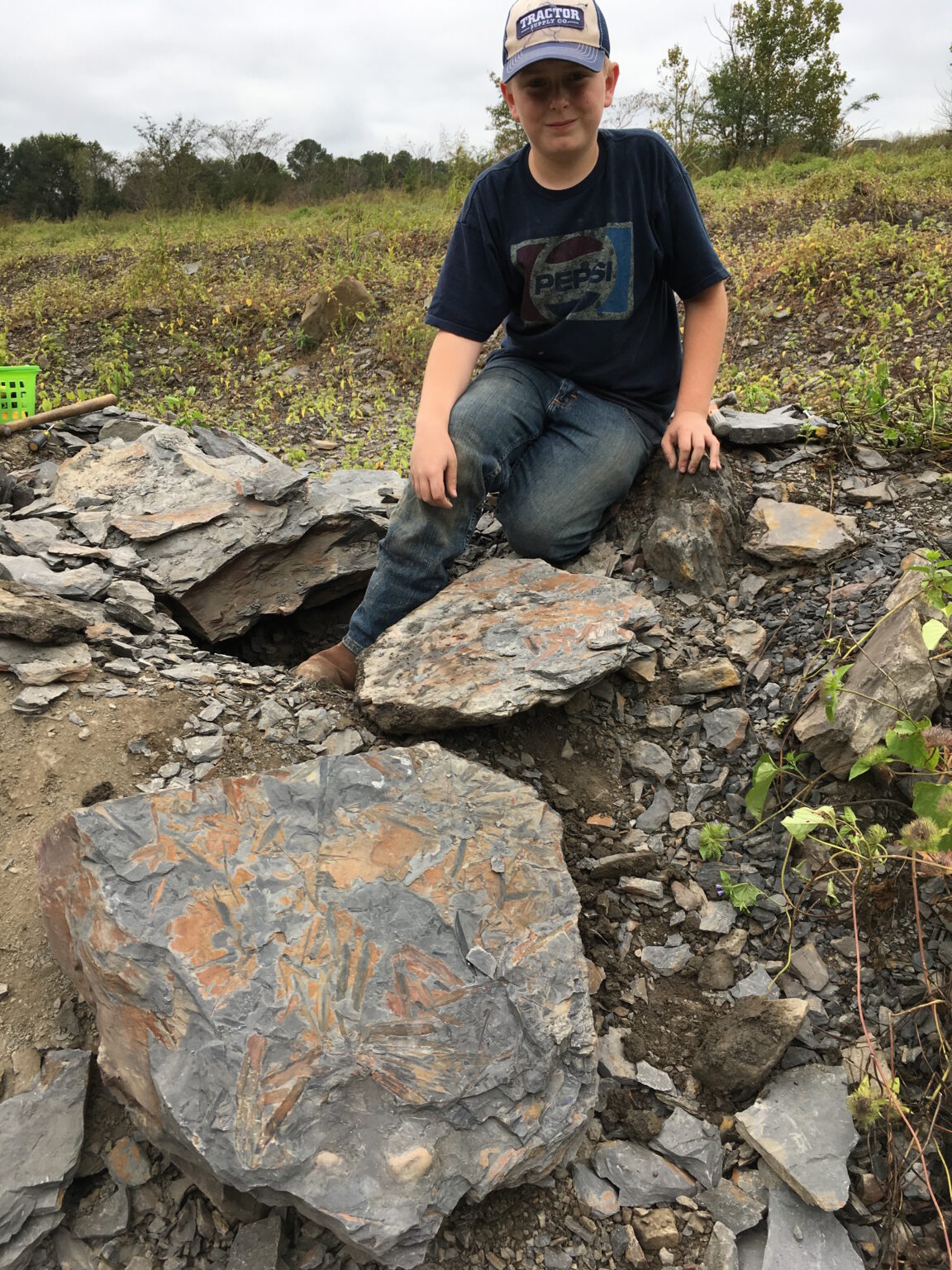 Go Fossil Hunting In Alabama At Union Chapel Mine - Yellowhammer News