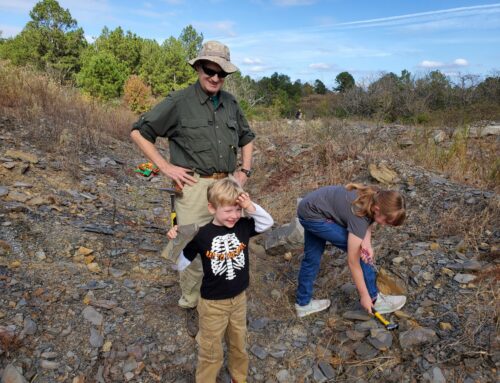 Go fossil hunting in Alabama at Union Chapel Mine