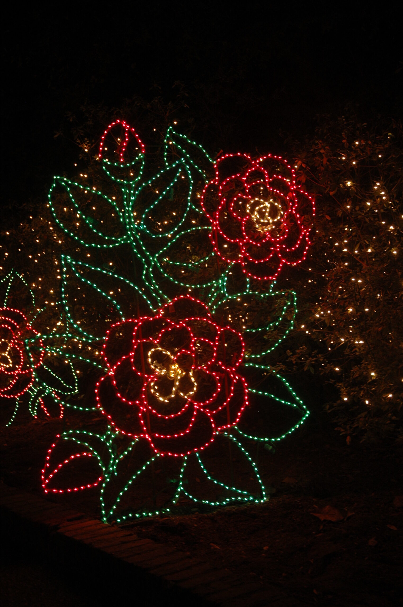 Where to see the best holiday light shows in Alabama - SoulGrown