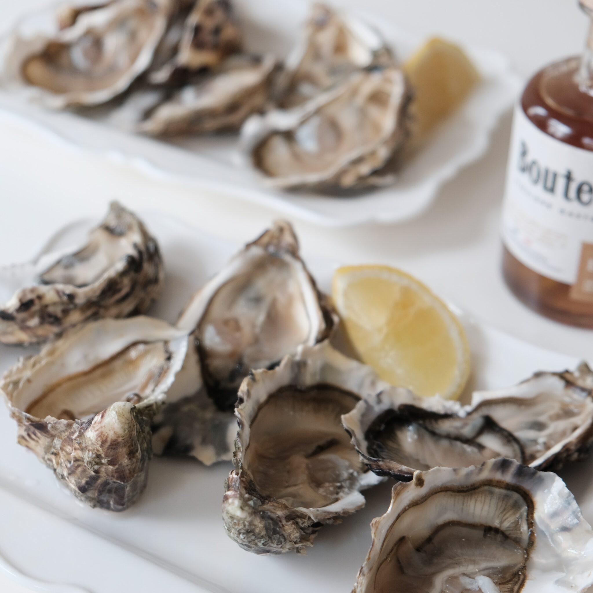 A Beginner's Guide to the World of Alabama Oysters
