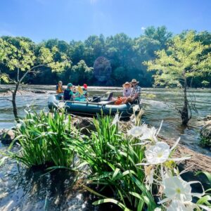 Coosa River Lilies