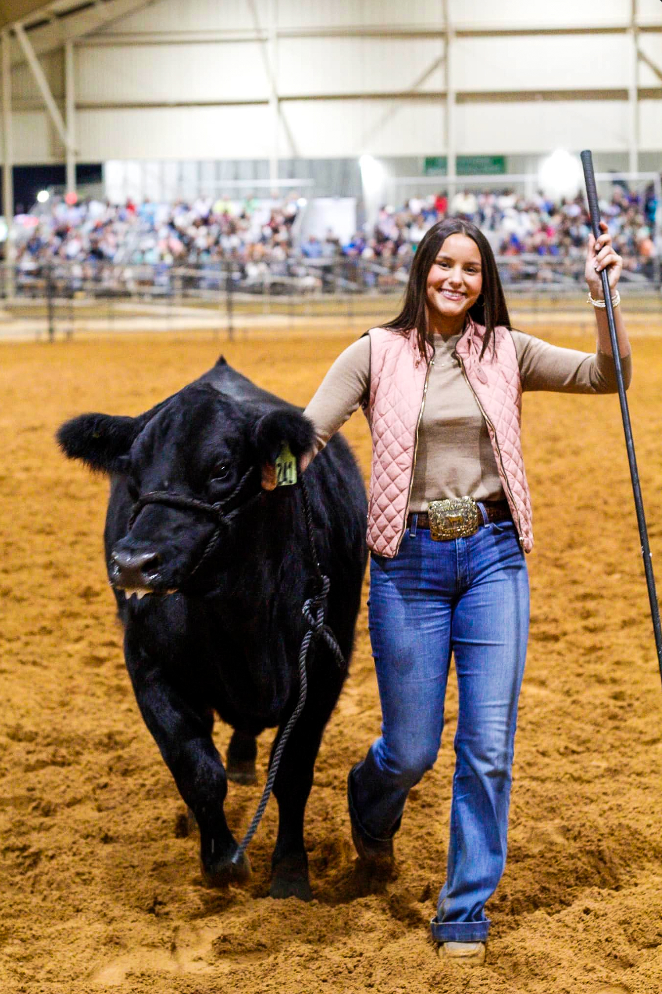 Cattle show at Dothan's National Peanut Festival