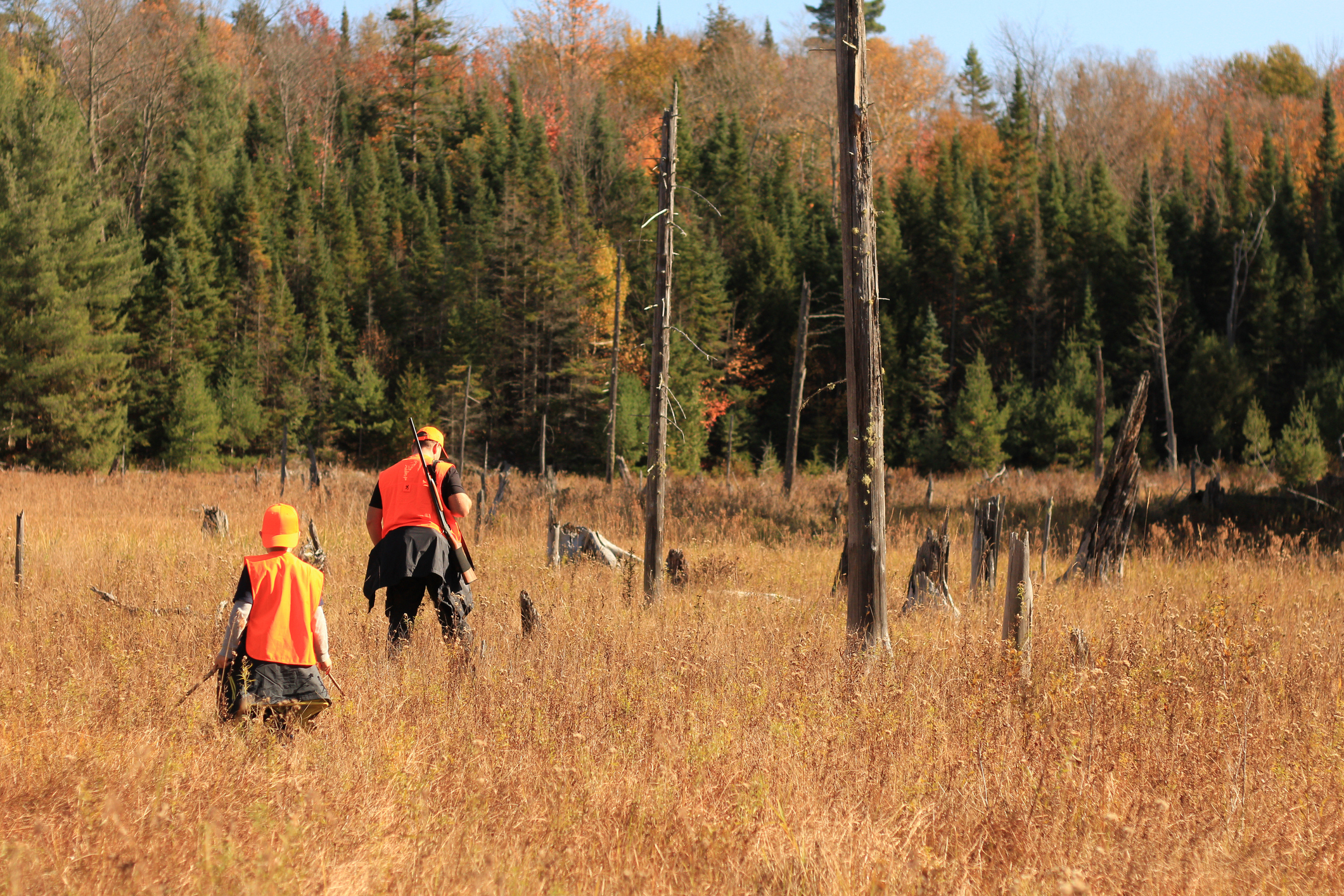 Father and son hunting outdoors