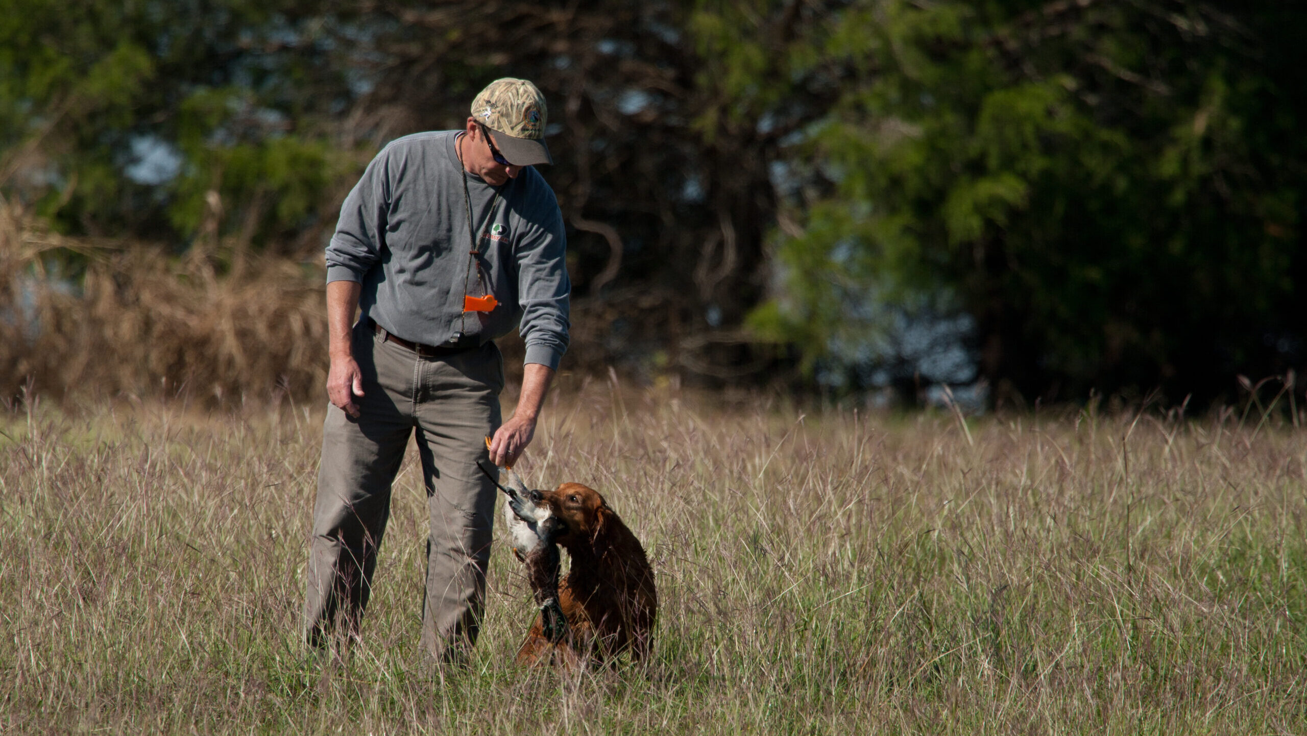 Man with sporting dog