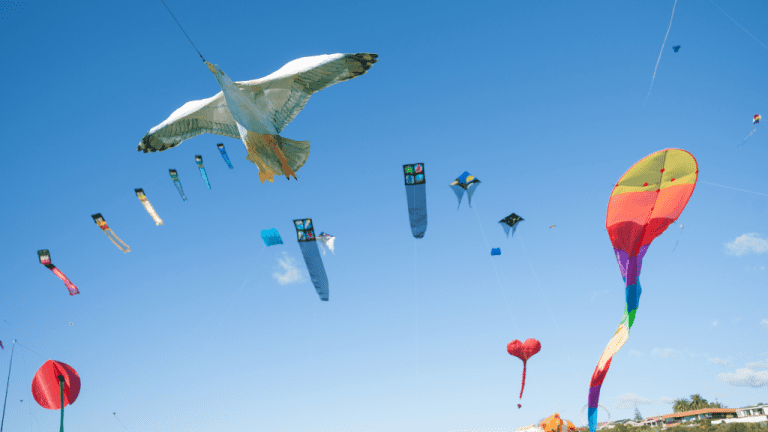 Kite festival