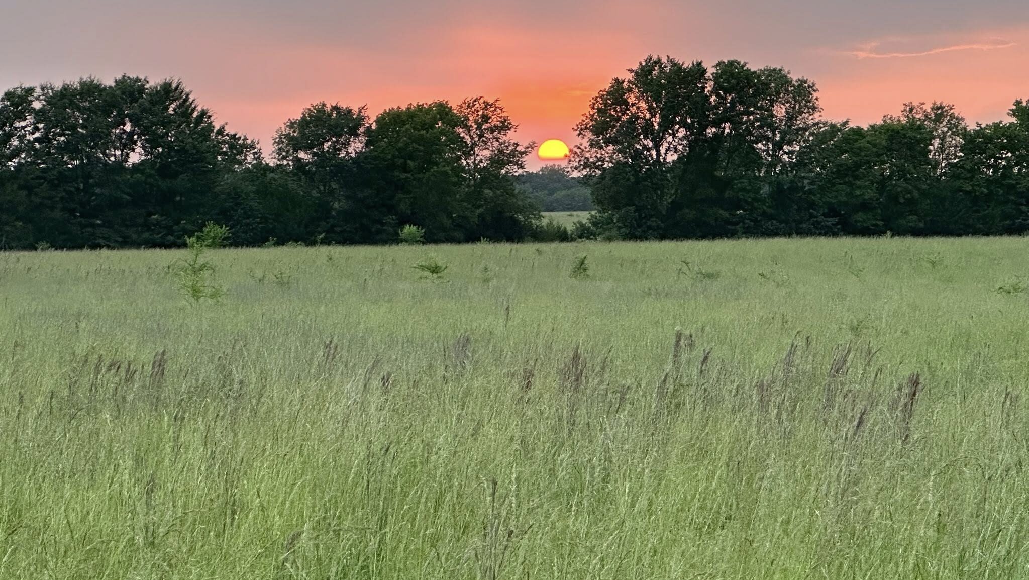 Southeastern Grasslands Institute