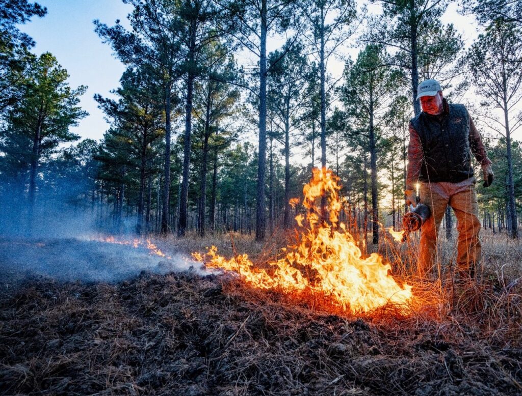 Prescribed fire