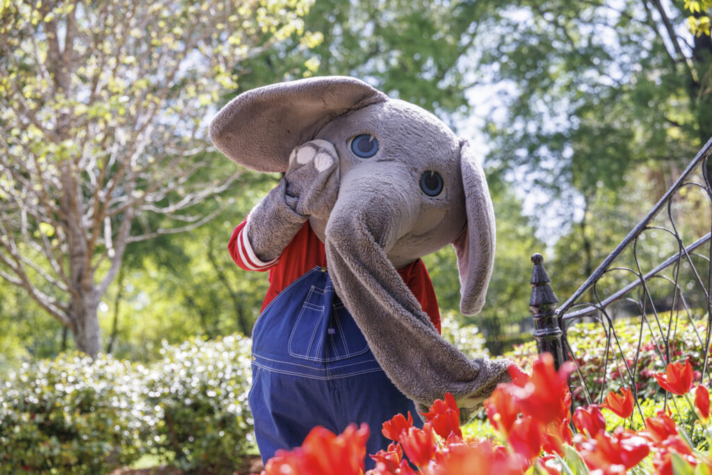 Big Al with flowers