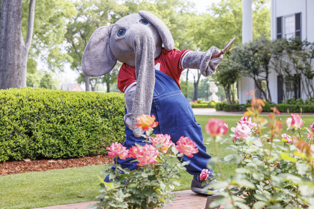 Big Al with spade