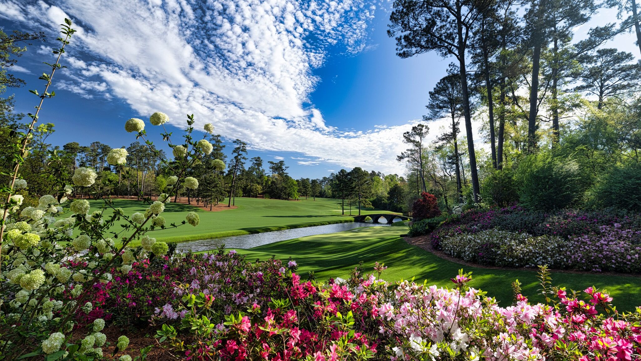 The masters views