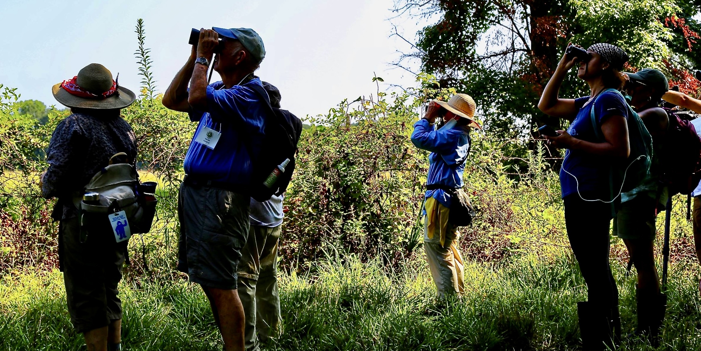 Alabama bird watching