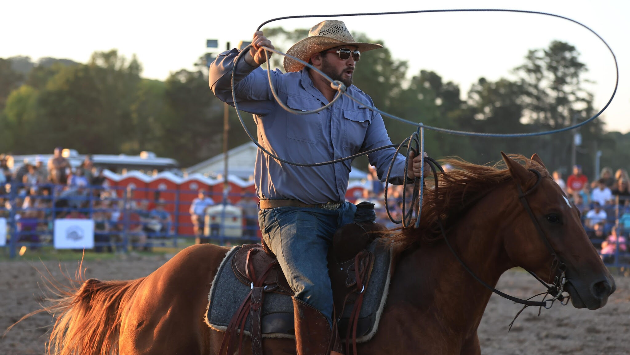 Rodeo
