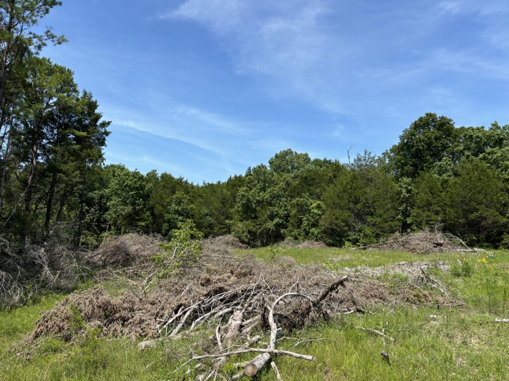 Grassland conservation