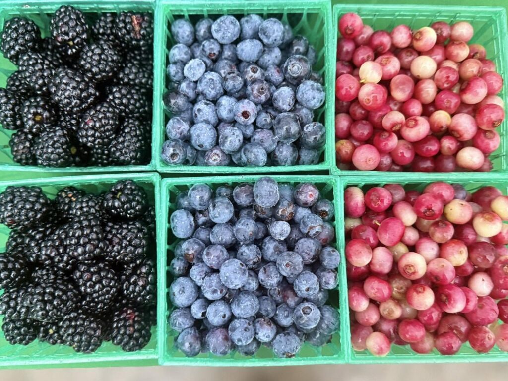 Blueberries