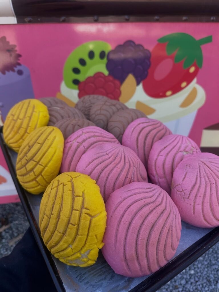 Mexican conchas