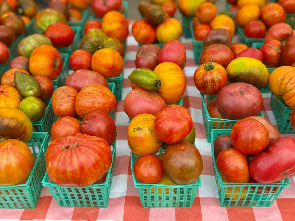 Heirloom tomatoes
