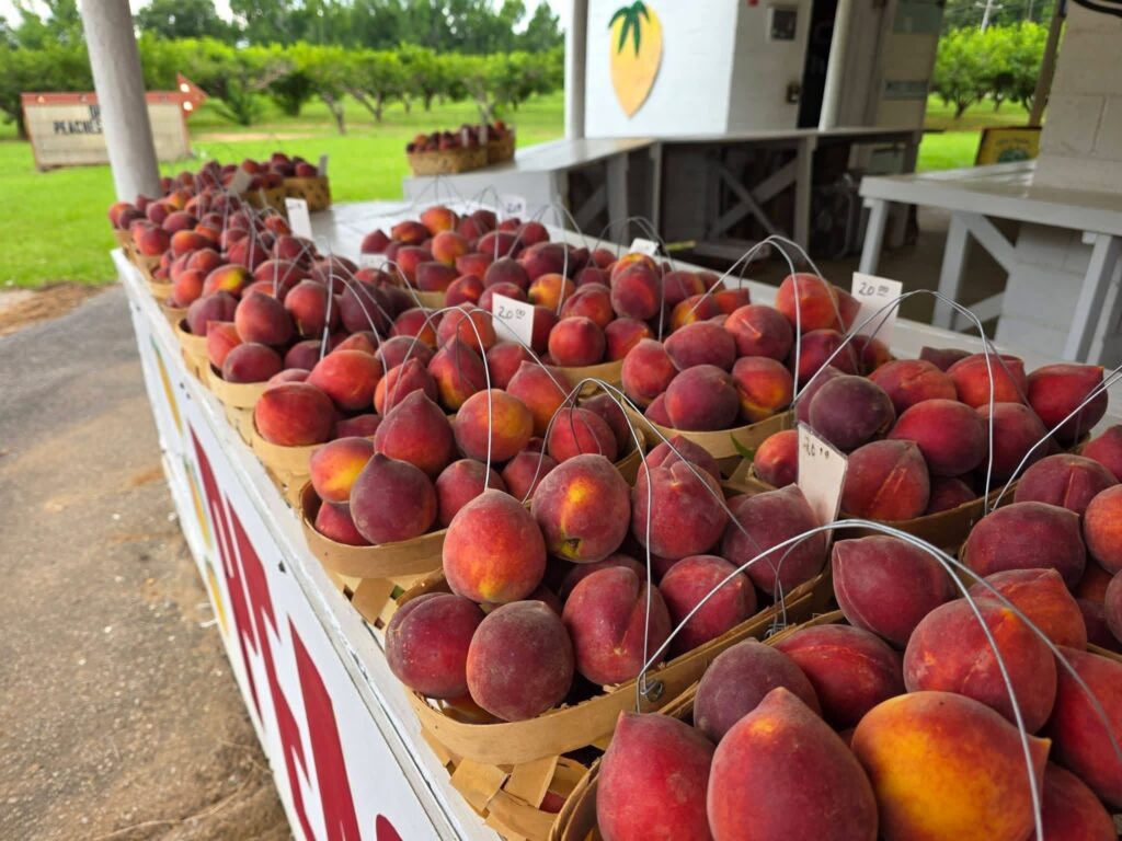 baskets of peaches