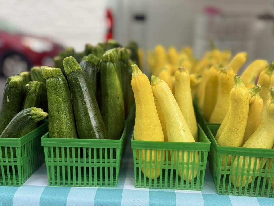 squash and zucchini