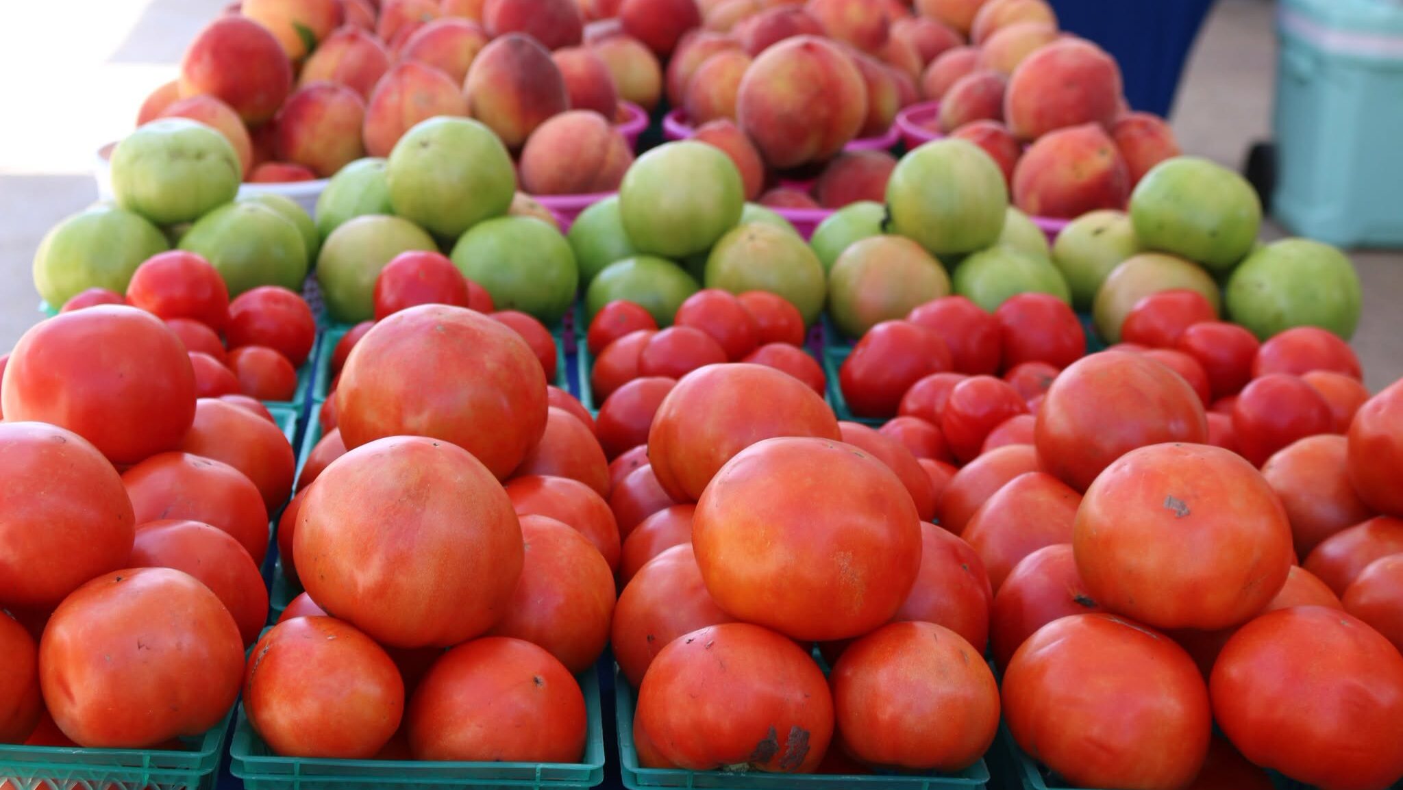 summer produce