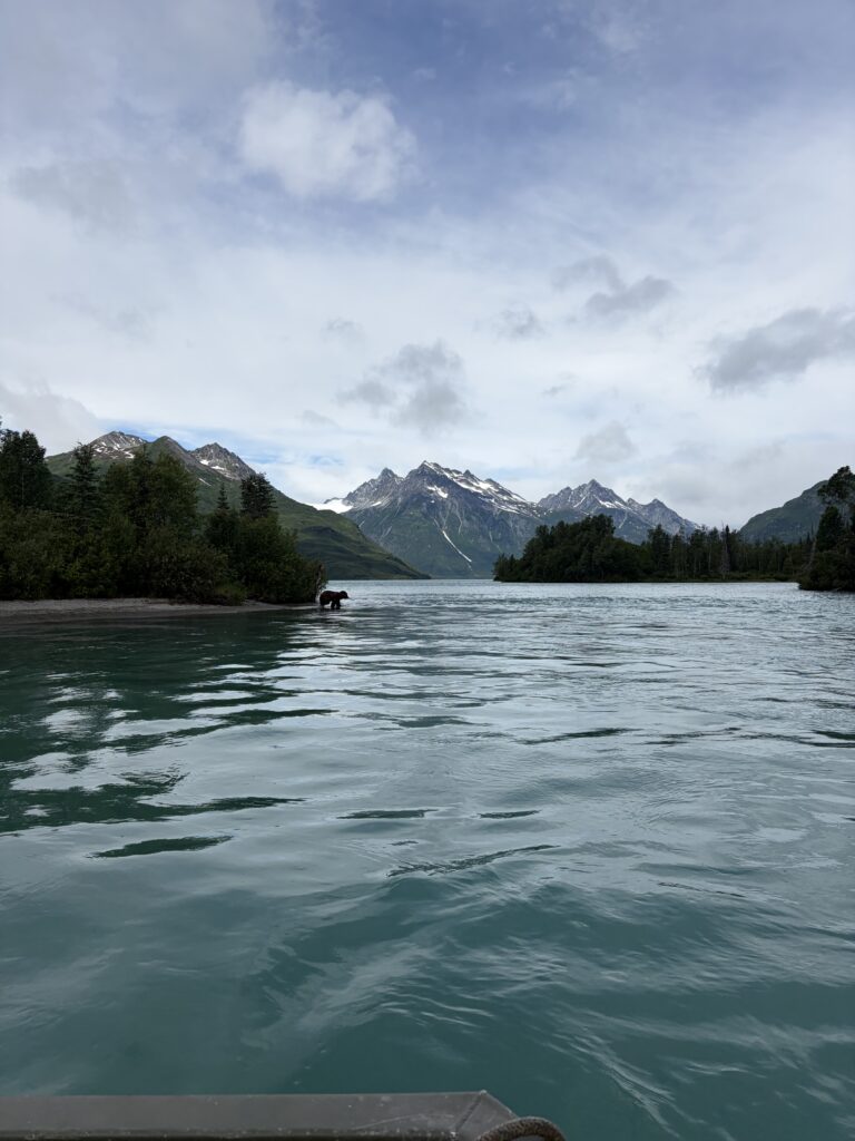 Alaskan wilderness