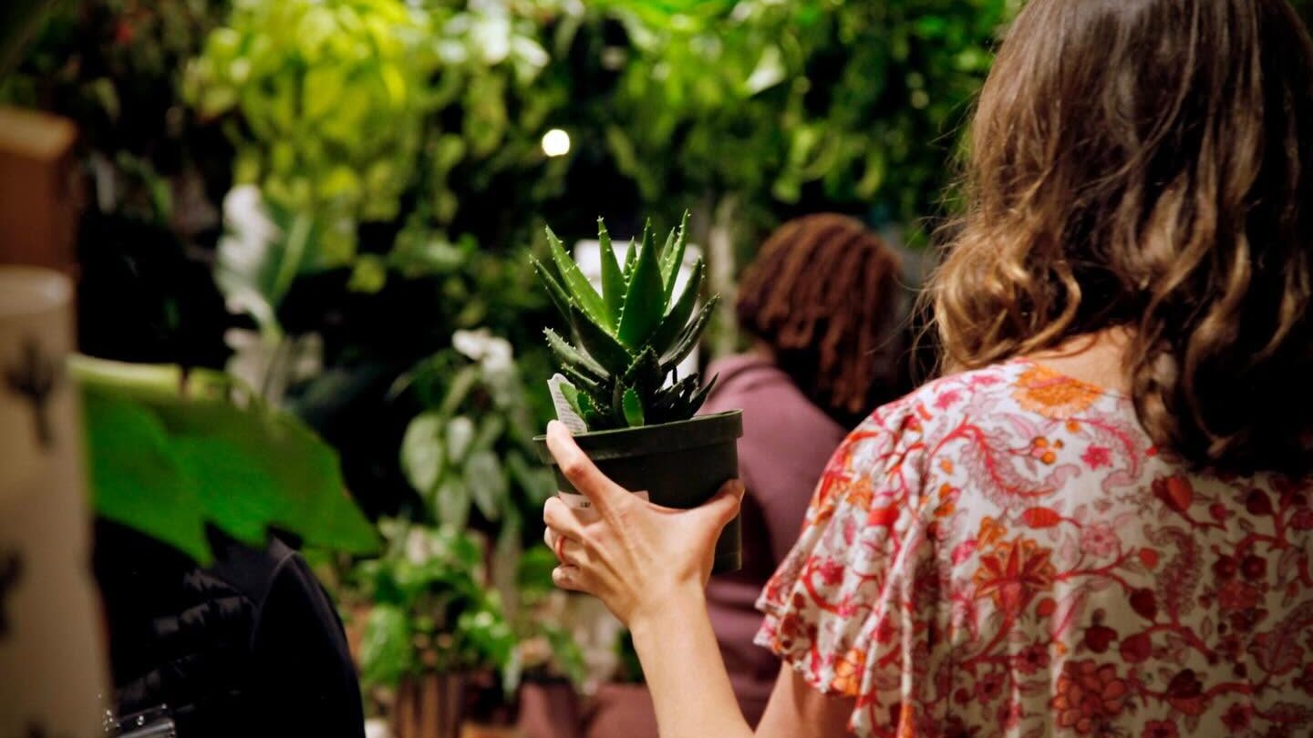 House Plant Collective
