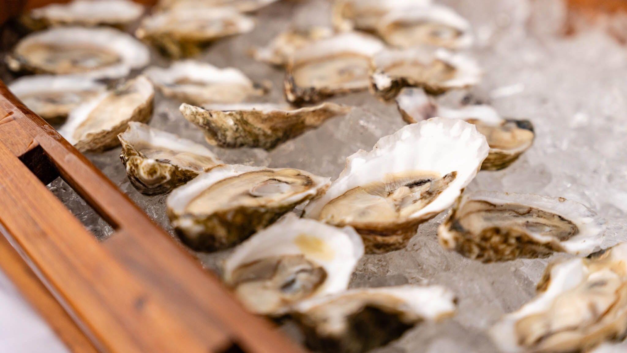 Point aux Pins oysters