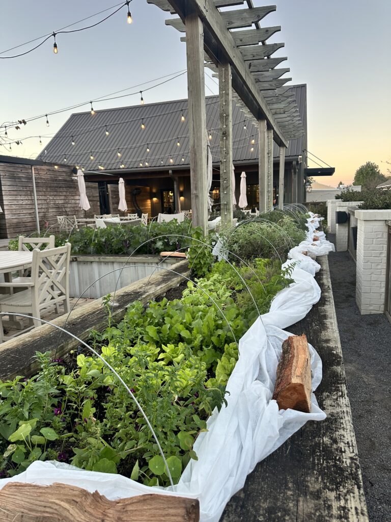 The Hope Farm