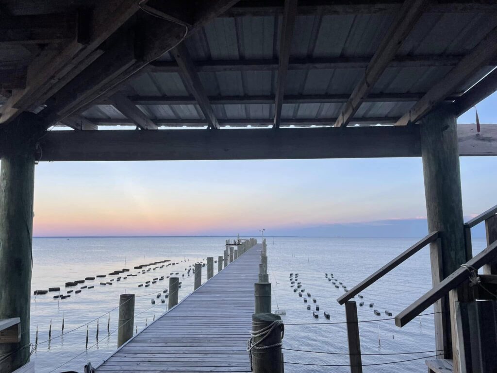 Bama Bay Oysters