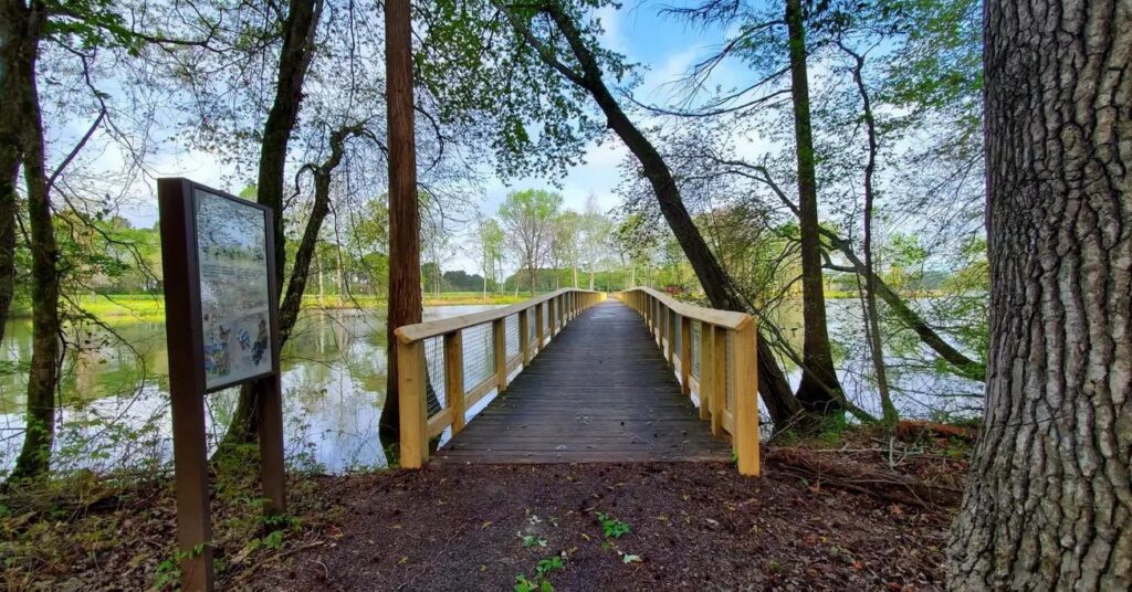 Wheeler Boardwalk