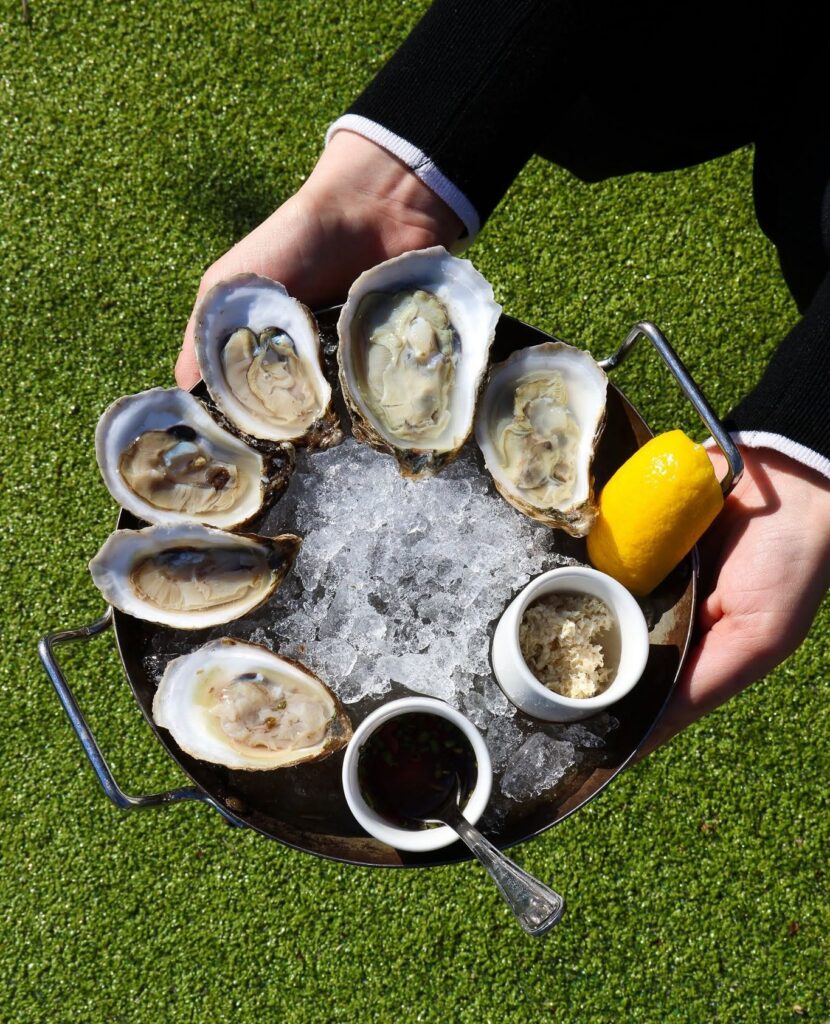 The Optimist oysters