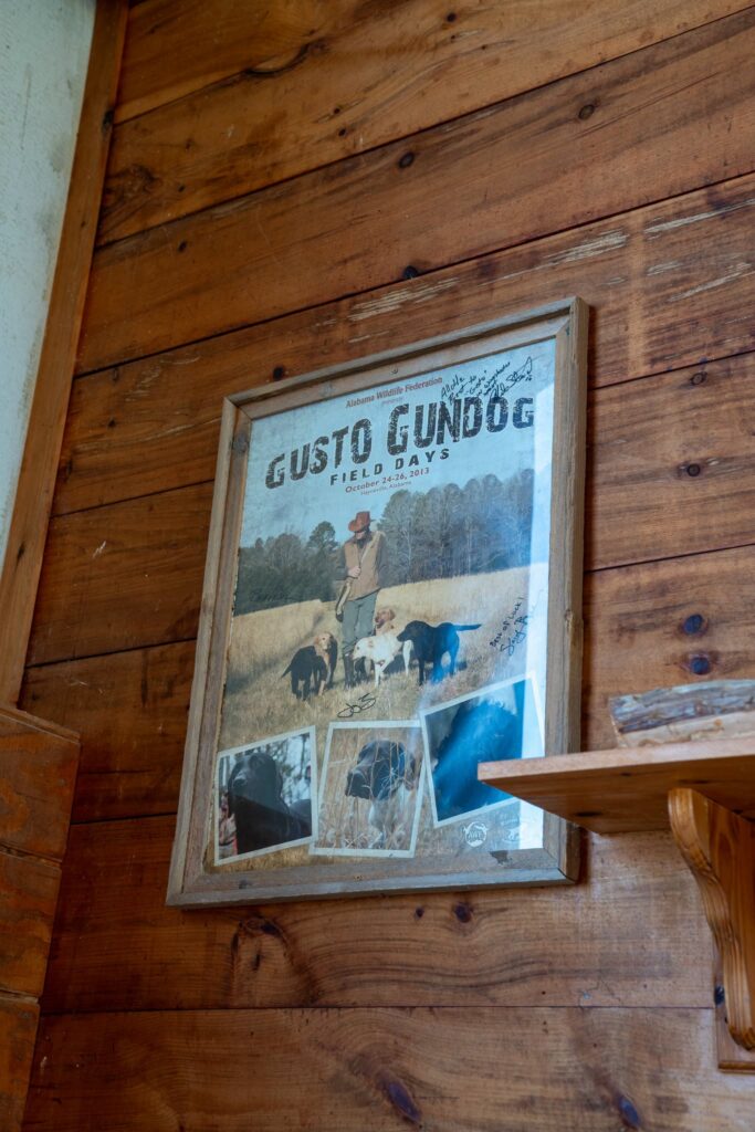 Thomas Harris framed poster