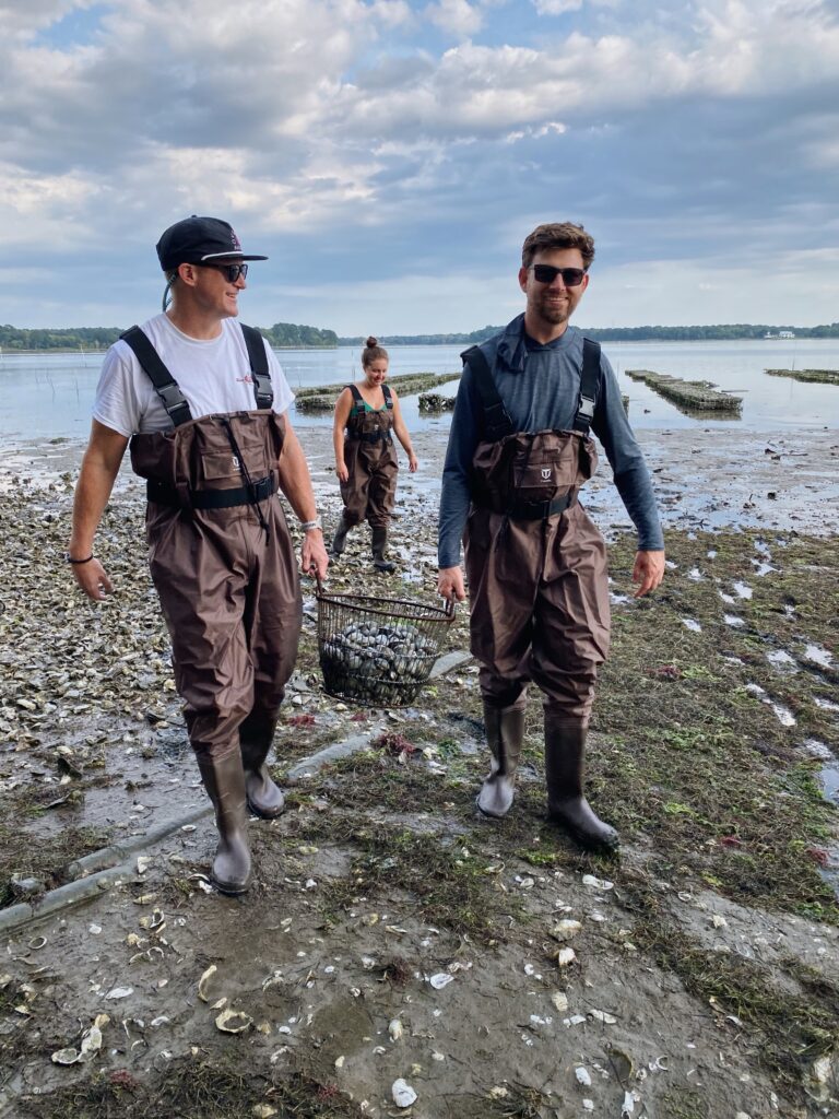 Oyster South oyster farmers